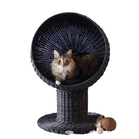 refined feline kitty ball bed.